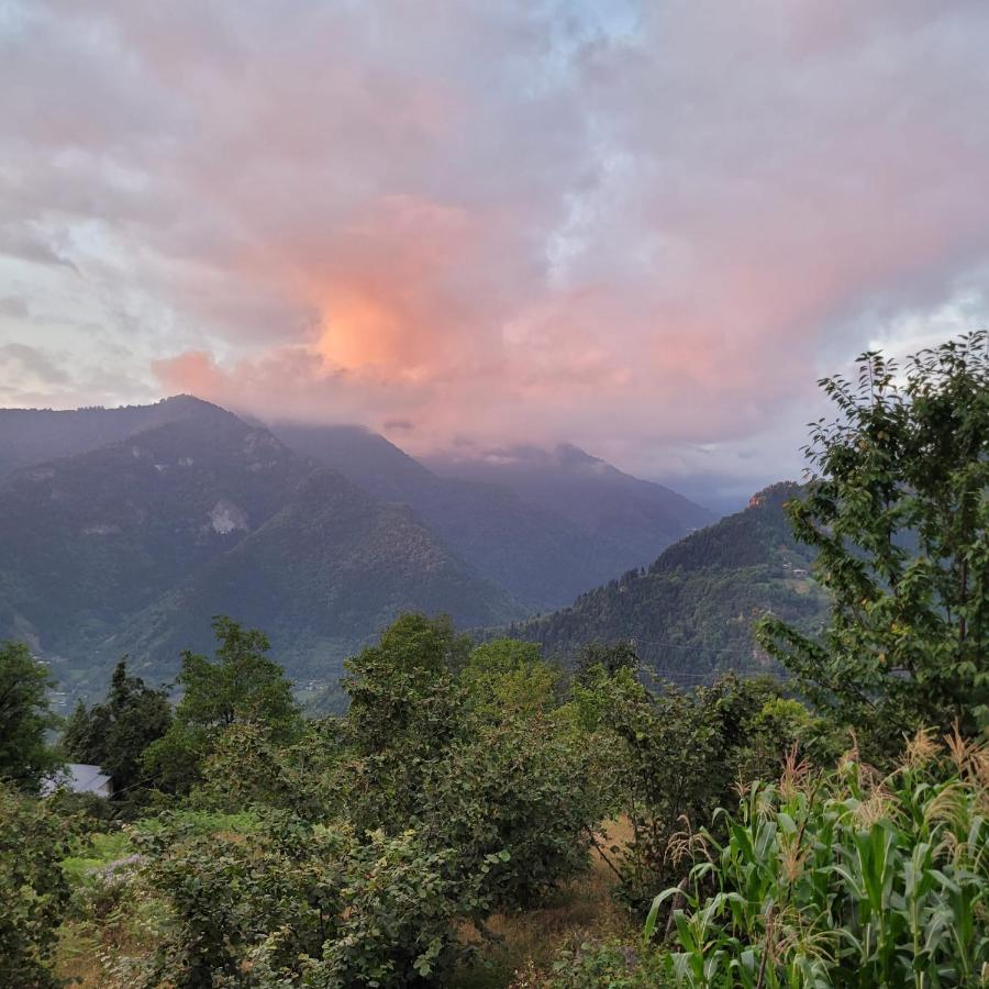 Selin Yaşam Evi Daire Artvin Dış mekan fotoğraf