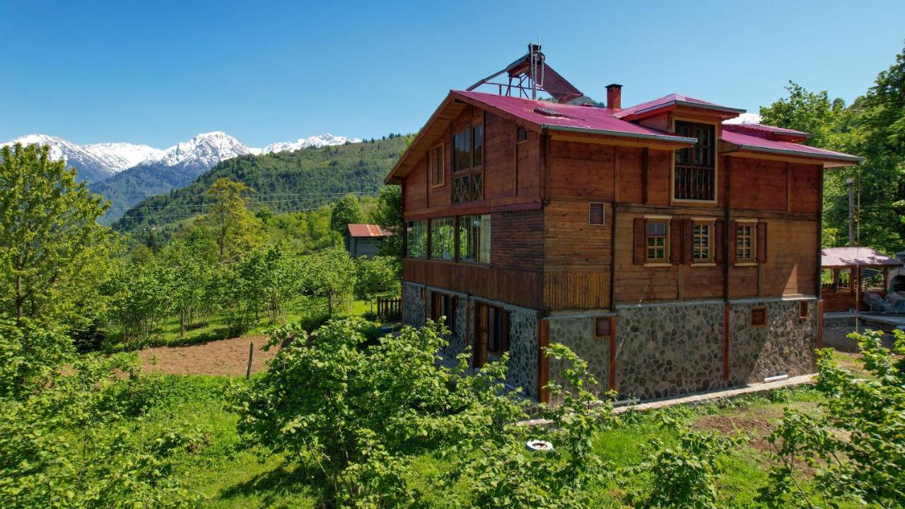 Selin Yaşam Evi Daire Artvin Dış mekan fotoğraf